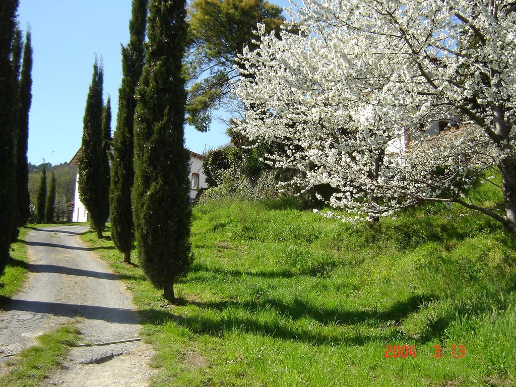 Podere"Sulle Soglie Del Bosco" Appartament And Rooms 佩夏 外观 照片