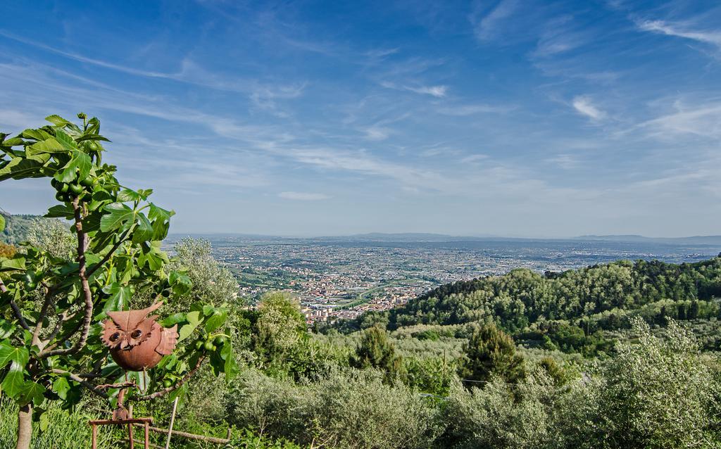 Podere"Sulle Soglie Del Bosco" Appartament And Rooms 佩夏 外观 照片